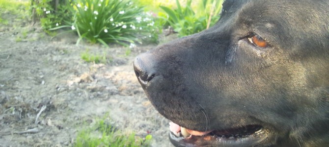 空ちゃんと外に出る！軌跡3