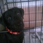 空ちゃん家に来る！ハチャメチャ(´・ω・｀)軌跡2