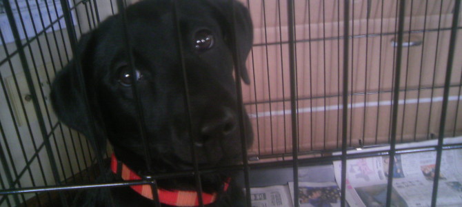 空ちゃん家に来る！ハチャメチャ(´・ω・｀)軌跡2