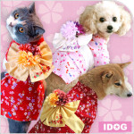 お祭り気分だワン！iDog アイドッグ 金魚としだれ桜の浴衣 コサージュ付 XXL Fサイズ