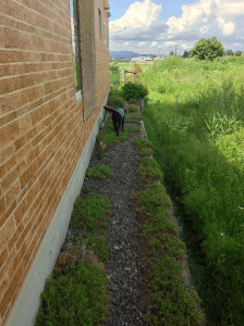 空ちゃんとお庭