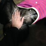 空ちゃんが想像妊娠したっぽい