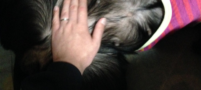 空ちゃんが想像妊娠したっぽい