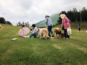 ゴールデンレトリバー