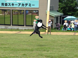 フリスビーキャッチ