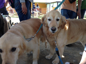 ベン君とモコちゃん
