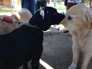 空ちゃんご挨拶