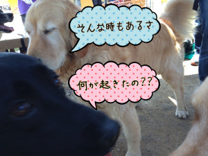 空ちゃんとベン君