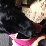 空ちゃん「雷コワイ(´；ω；｀)」