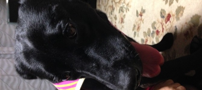 空ちゃん「雷コワイ(´；ω；｀)」