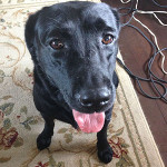 会社行かなきゃいけないのに(；´∀｀)