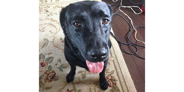 会社行かなきゃいけないのに(;´∀`) 会社行かなきゃいけないのに(;´∀`)