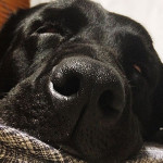 家族だから撮れる写真