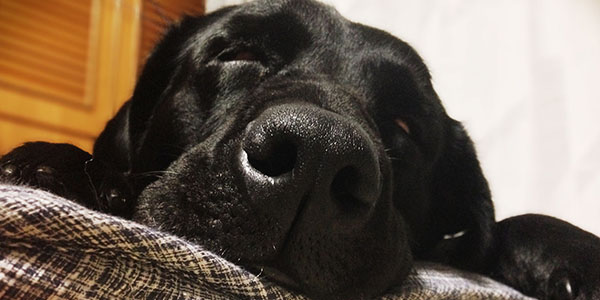 家族だから撮れる写真 家族だから撮れる写真