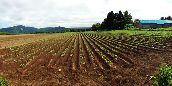 三連休最後は農作業してきました！