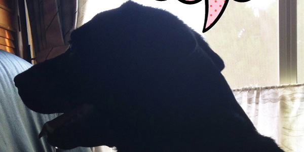 お題でポンの結果は・・・ お題でポンの結果は・・・