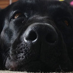 空ちゃん「おねむなの(´･ωゞ)ﾈﾑｲ」